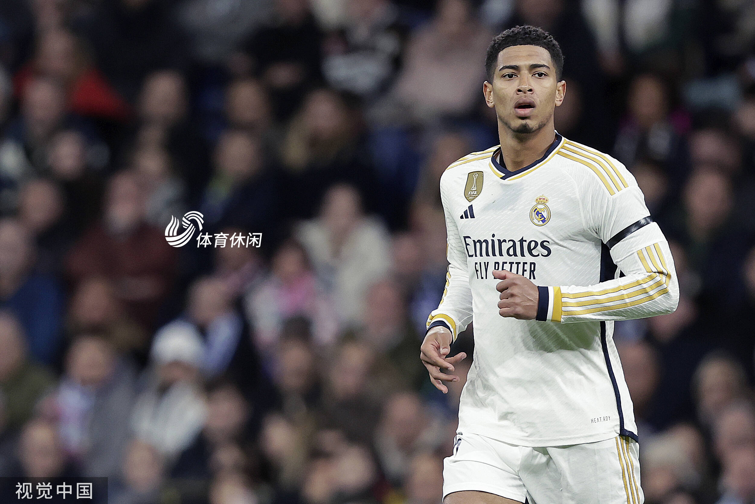 锁定一侧树 锁定一侧树